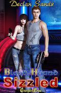 Sizzled (Blood-Hound, #4) by Declan Sands