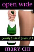 Open Wide  (Sexually Explicit Series) by Mary Chi