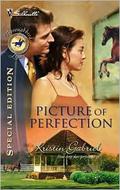 Picture of Perfection (Thoroughbred Legacy #3) by Kristin Gabriel