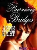 Burning Bridges by Anne Krist