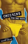 Cruising for Bad Boys by David Holly