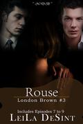 Rouse (London Brown #3) by Leila DeSint
