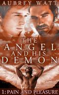 Pain and Pleasure (The Angel and His Demon #1) by Aubrey Watt