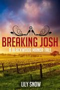 Breaking Josh (Blackwood Manor Training Center #1) by Lily Snow
