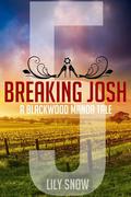 Breaking Josh 5 (Blackwood Manor Training Center #5) by Lily Snow