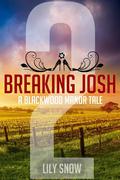 Breaking Josh 2 (Blackwood Manor Training Center #2) by Lily Snow
