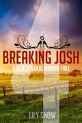 Breaking Josh 4 (Blackwood Manor Training Center #4) by Lily Snow