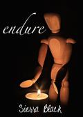 endure  (Companion Academy) by Sierra Black