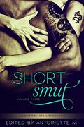 Short Smut, Vol. 3 by Ellen Dominick