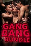 The Gangbang Bundle  (4 explicit double stuffed group sex stories) by Rose Black