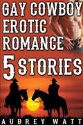 Gay Cowboys Erotic Romance 5-Pack Boxed Set by Aubrey Watt