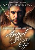 Angel Private Eye (Earthbound Angels #3) by Sandra Ross