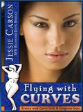 Flying with Curves  (BBW Billionaire Erotic Romance: Erotica with Curvy Girls & Gorgeous Guys) by Jessie Carson