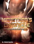 Kickstand's Chronicle (Undercover Lust, #4) by Nicole Sanchez