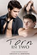 Torn in Two by Kelly Rand