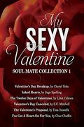 My Sexy Valentine (Soul Mate Collection #1) by Sage Spelling