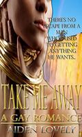 Take Me Away: A Gay Romance by Aiden Lovely
