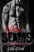 Mend the Seams (Buried Secrets #3) by Amanda Staton