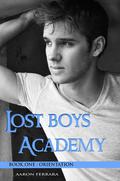 Lost Boys Academy 1: Orientation (Lost Boys Academy #1) by Aaron Ferrara