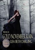 Cold November Rain by Lisa Beth Darling