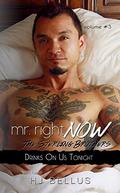 Mr. Right Now: Vol. 3: Drinks On Us Tonight by HJ Bellus