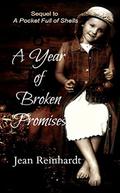 A Year of Broken Promises (An Irish Family Saga #2) by Jean Reinhardt