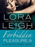 Forbidden Pleasure by Lora Leigh