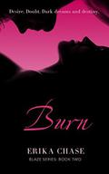 Burn (Blaze #2) by Erika Chase