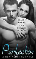Perfection #1 (The Perfection series #1) by Shawna Gleason