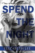Spend the Night I (The Hotel Collection #1) by Elizabeth Lee