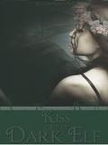 Kiss of the Dark Elf (In the Arms of the Dark Elf #2) by Willow Nonea Rae
