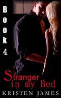 Stranger in my Bed: Danger & Decisions (Stranger in my Bed #4) by Kristen James