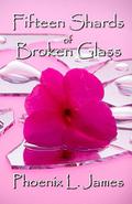 Fifteen Shards of Broken Glass by Taylor Morgan