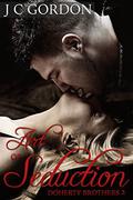 Art of Seduction (Doherty Brothers #2) by J C Gordon
