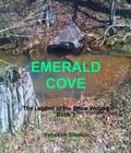 Emerald Cove (The Legend of the Snow Wolves #3) by Rebekah Shelton