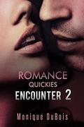 Romance: Quickies  (Encounter 2)  (Romance) by Free Romance Novels