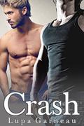 Crash  (Gay Older Man Romance) by Lupa Garneau