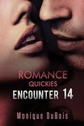 Romance: Quickies  (Encounter 14) - Contemporary Romance:  (Romance, Erotic Romance, Billionaire Romance, Romantic Comedy) by Free Romance Novels