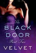 The Black Door: Part 2  (Black Door Series) by Velvet