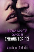 Encounter 13 by Free Romance Novels
