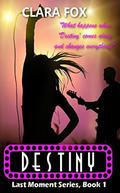 Destiny (Last Moment #1) by Clara Fox