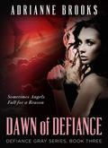 Dawn of Defiance (Defiance Gray #3) by Adrianne Brooks