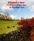 Elizabeth's Hero (Silver Springs Contemporary #1) by Gina Coon