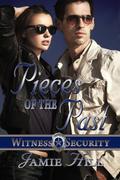 Pieces of the Past (Witness Security #1) by Jamie Hill