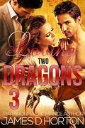 Loving Two Dragons 3 (Awakening Cycle #3) by James D Horton