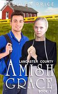 Lancaster County Amish Grace (Lancaster County Amish Grace #1) by Beverly Gould