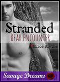 Stranded: Bear Encounter (Savage Dreams #2) by Alice Blythe