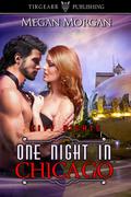 One Night in Chicago by Megan Morgan