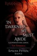 The Darkness (In Darkness We Must Abide #15) by Rhiannon Frater