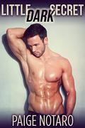 Little Dark Secret (Storm's Soldier #2) by Paige Notaro